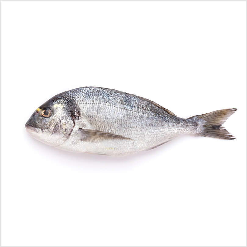 Fresh fish