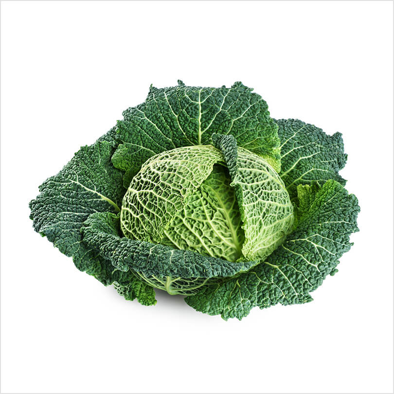 Cabbage